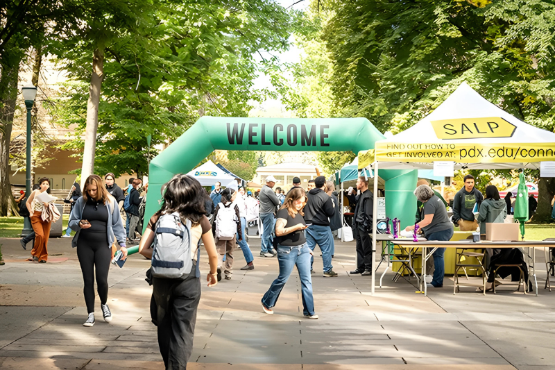 Viking Days - Party in the Park